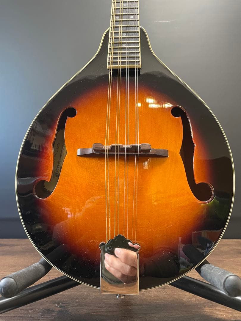 ジェームス James マンドリン JAM300BS ケース付き