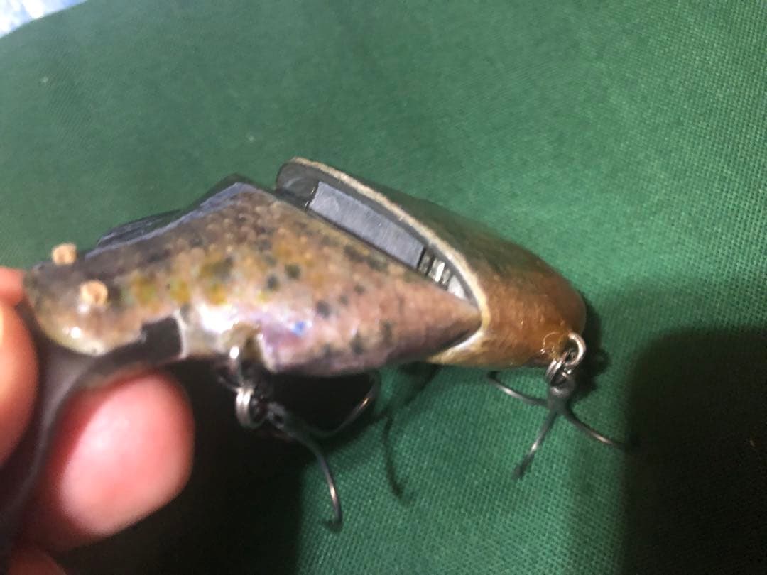 フレッシュベイトルアーズ イマカツ ギルロイドベビー？