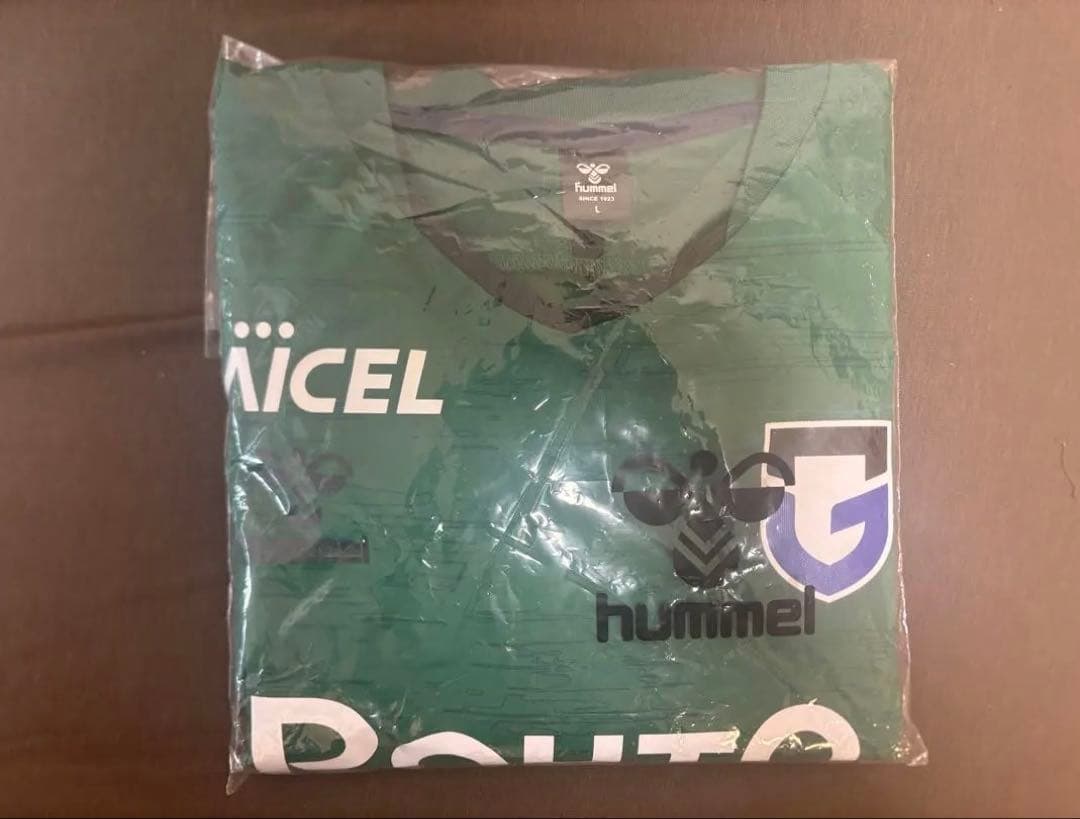 ガンバ大阪 2025年ピステLサイズ