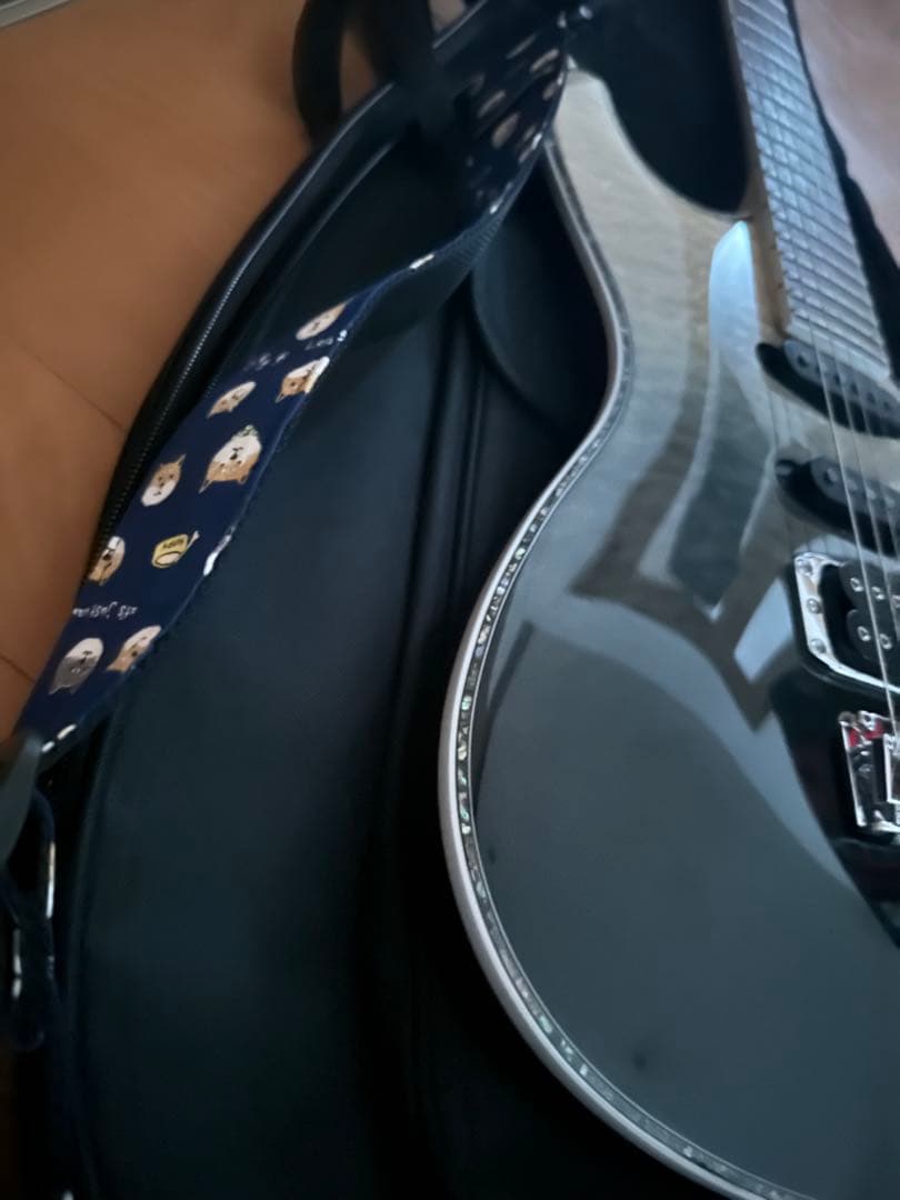 Ibanez sa360nqm エレキギター