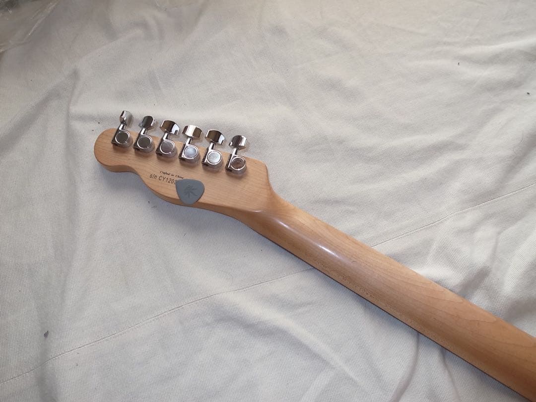 R*o様 SQUIER V/M テレキャスターカスタム　P90 MOD