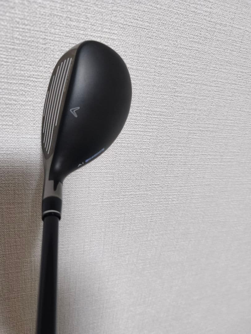 PARADYM Ai SMOKE MAX FAST ユーティリティ 5U