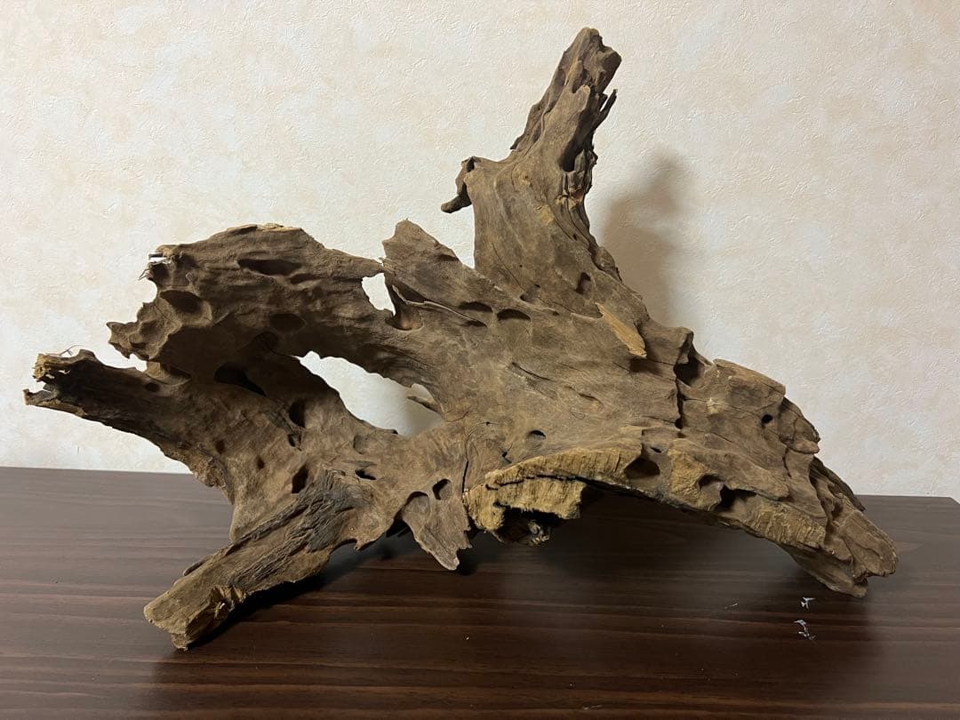 XM-198 流木　マシンガンウッド　アクアリウム　ブランチウッド　沈水確認済