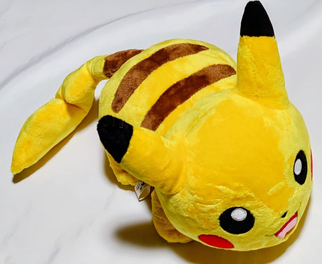 ポケットモンスターグッズ。