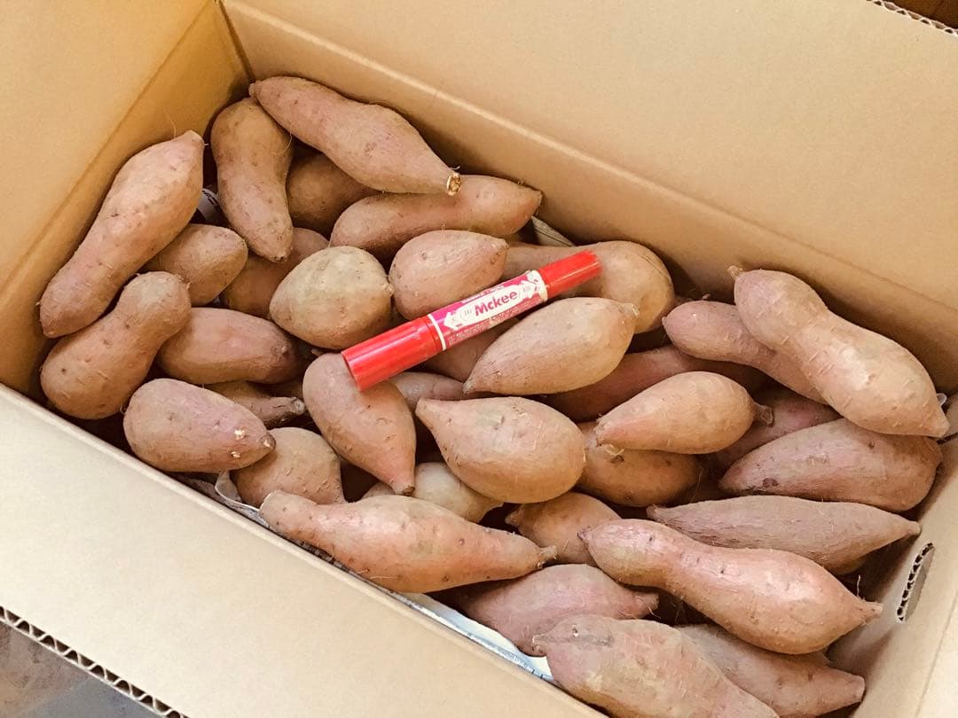 種子島産安納芋　Sサイズ20kgさつまいもの王道 おやつに焼きやすい　#安納芋