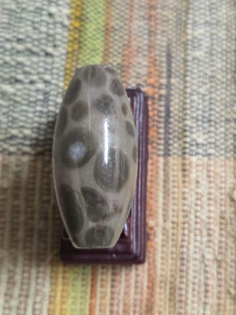 886　天珠　希少　釈迦偉伝　水晶質瑪瑙　西蔵　金剛　仏舎利！