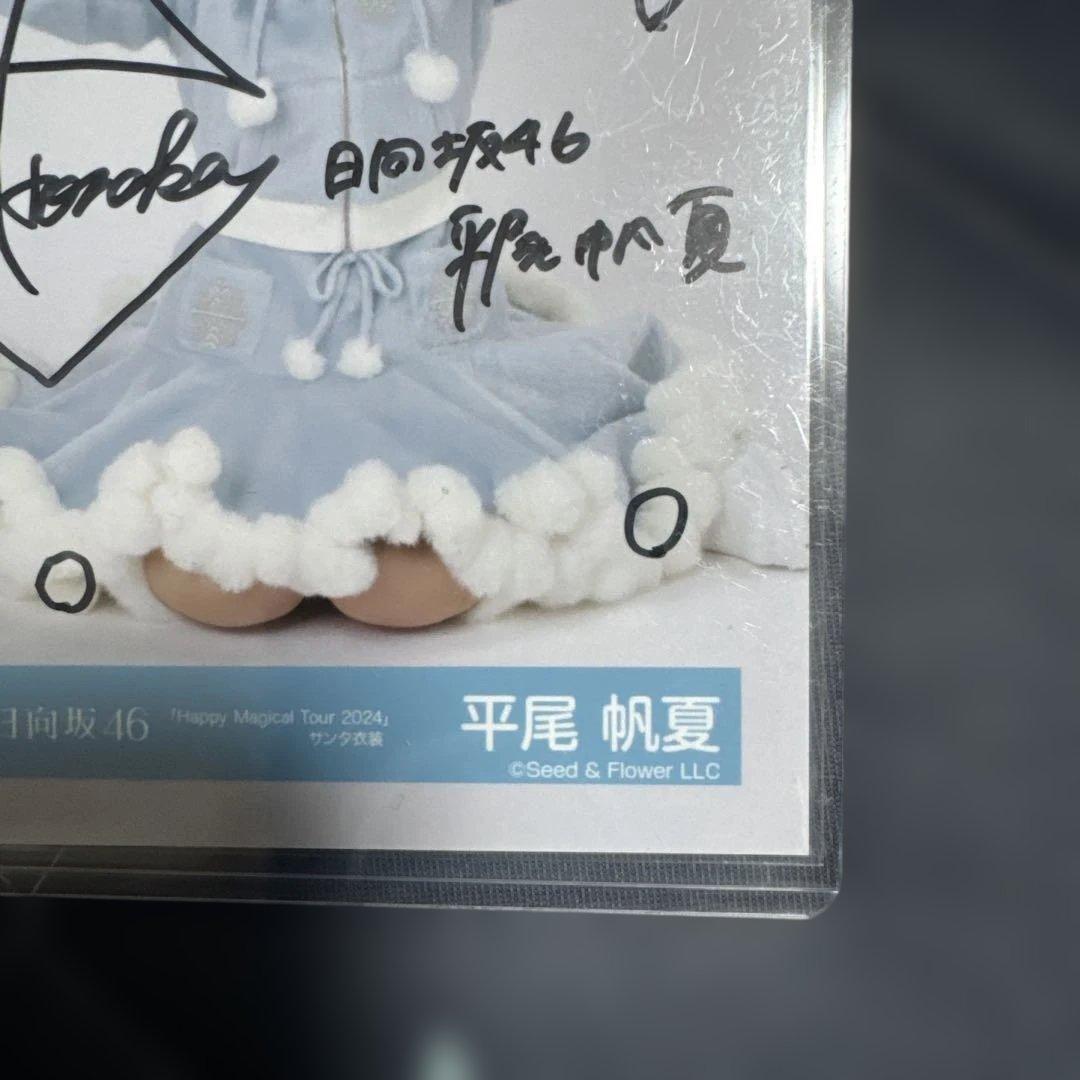 日向坂46 サイン入り写真 水色コート