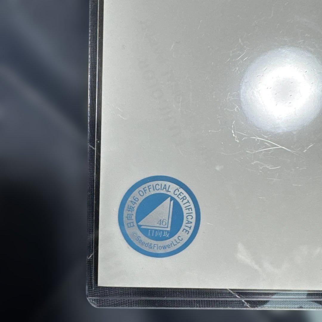 日向坂46 サイン入り写真 水色コート