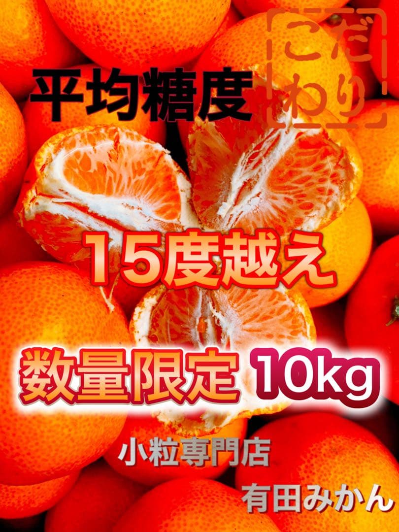 絶品‼️糖度15度越え‼️プレミアムみかんキング　旬味有田みかん　宮川早生 10Kg