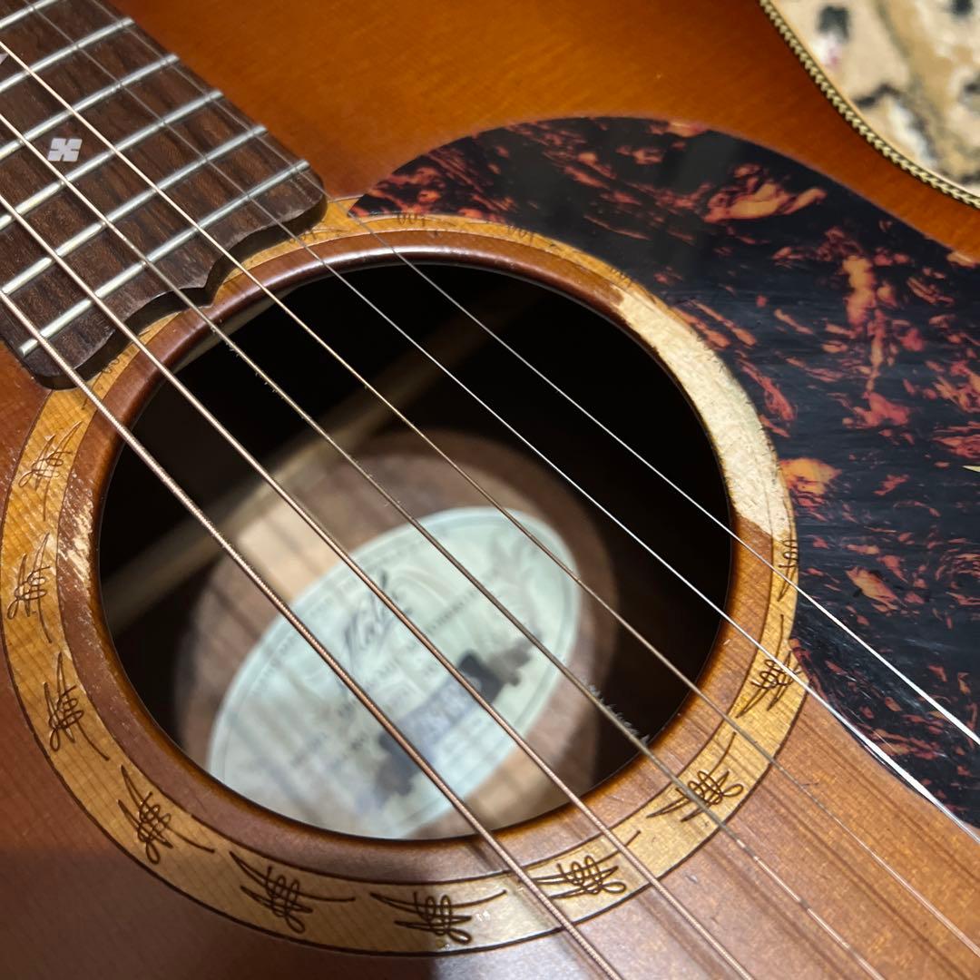 Maton 秦基博　シグネーチャーモデル　アコースティックギター