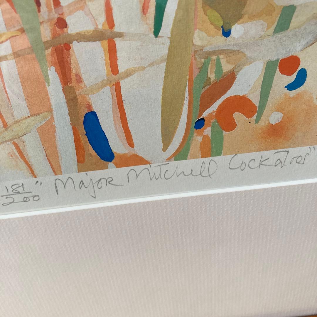 Helen Willshire パステル画 鳥 1993年