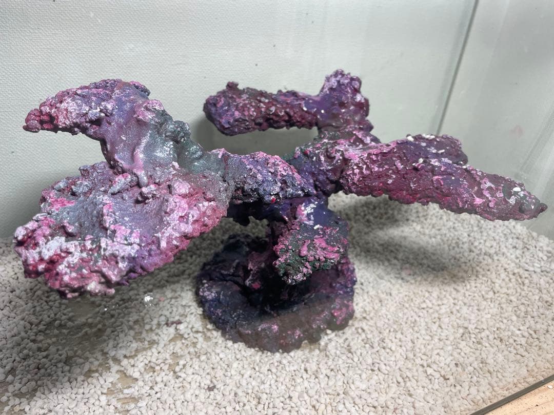 現物在庫SALE‼︎人工ライブロック RR84 アク抜き済み安心塗料使用