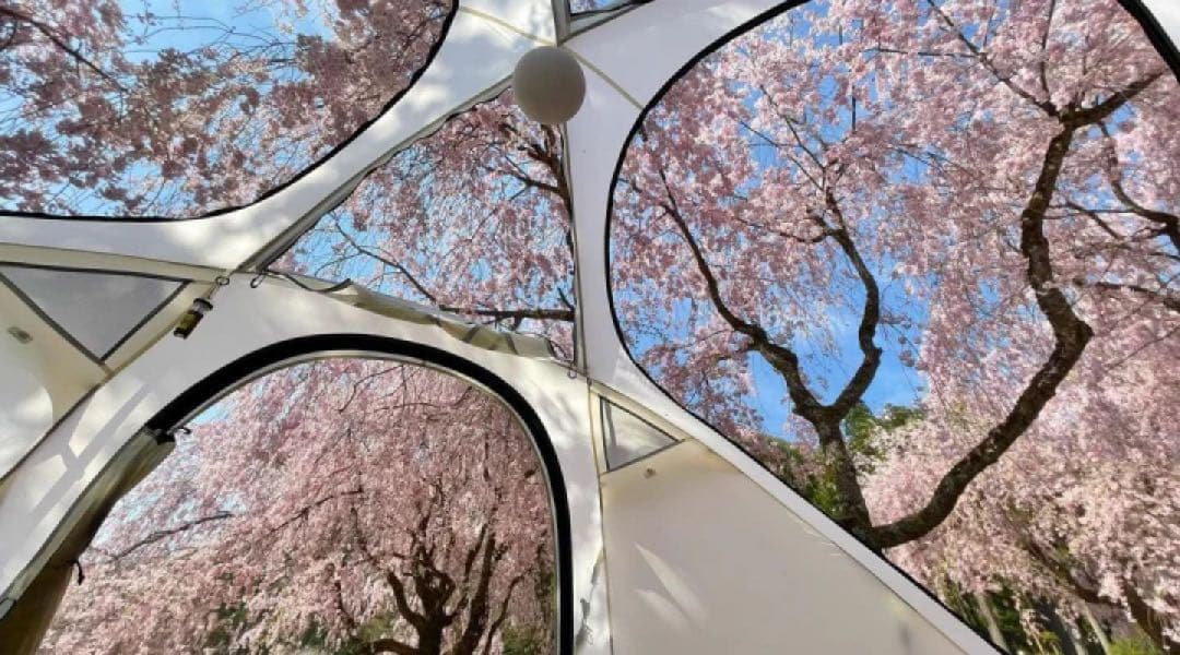 【あきーーち】【4回使用】BEN NEVIS オブザーバーシェルター