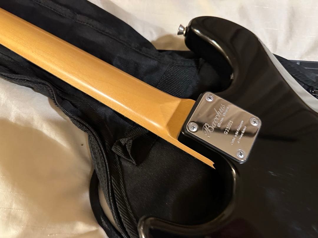 Bacchus GLAY HISASHI バッカス