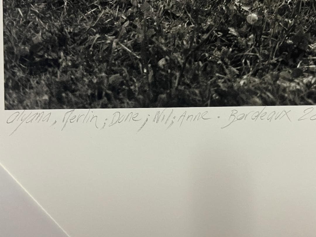 アラン・ラボアール Alain Laboil 2010年 ピグメントプリント