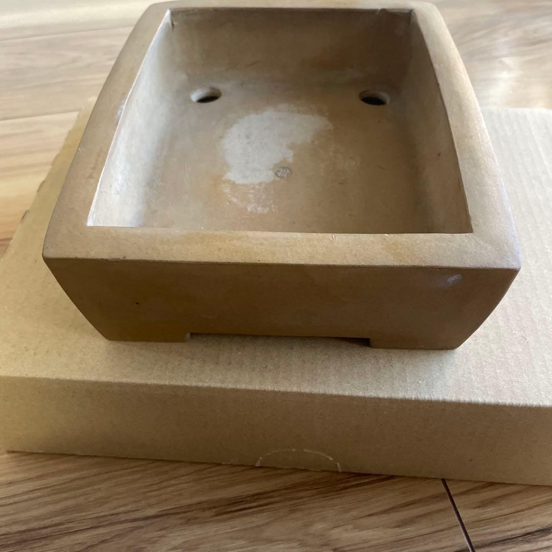 盆栽鉢　植木鉢　落款印　長方形　大きめ　シンプル　山野草