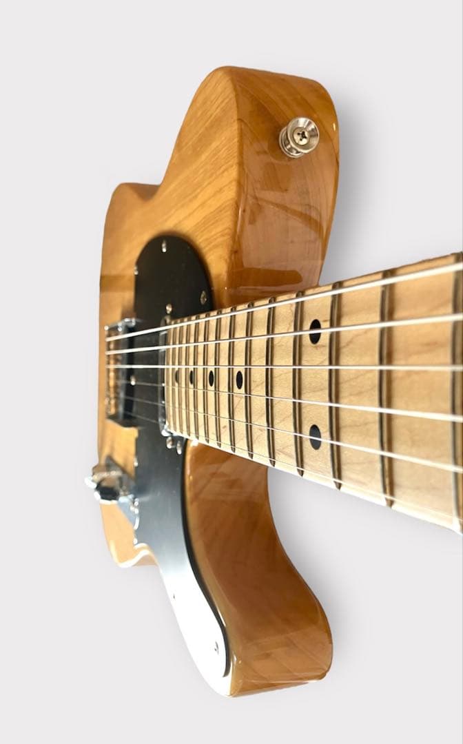 FUJIGEN Neo Classic NTE100MAH-VNT（ケース付き）