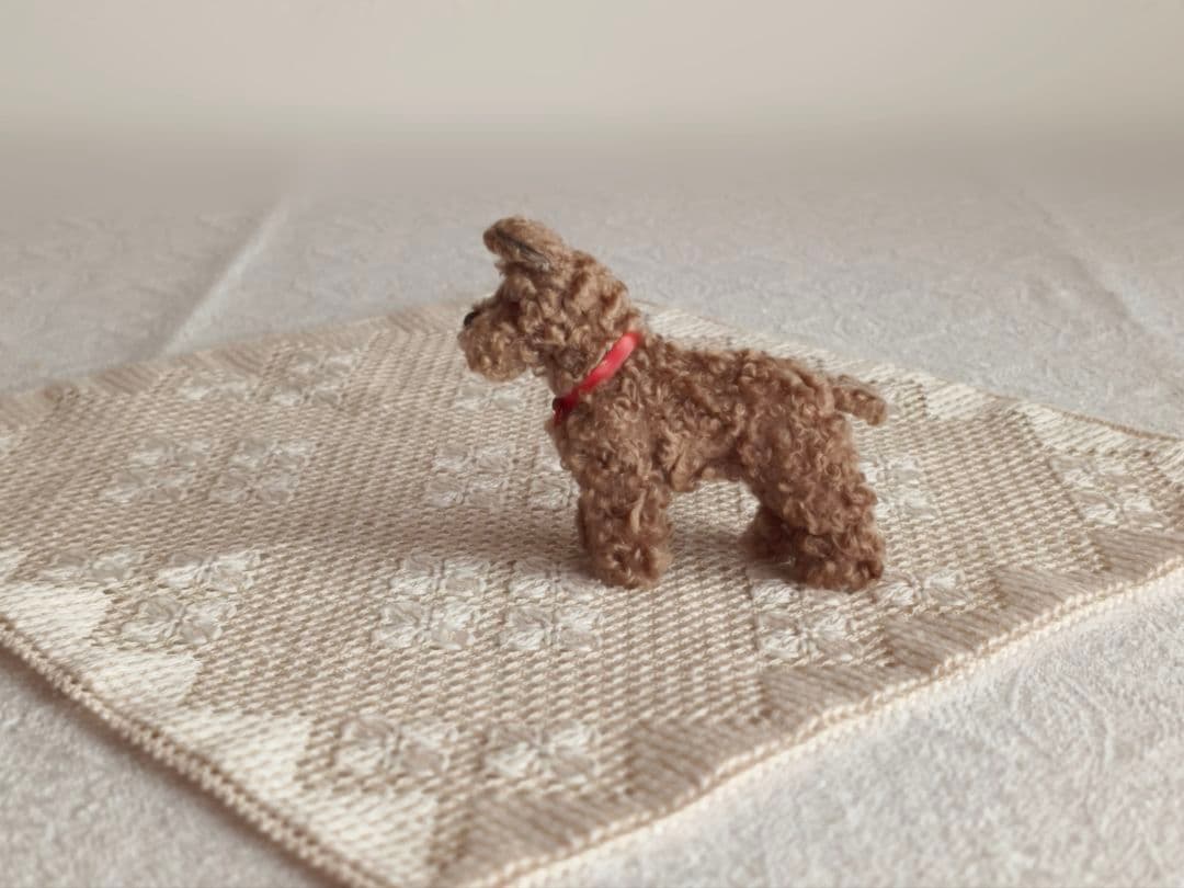 * vintage dog ❀ クルクル巻き毛がキュートな ワンちゃん