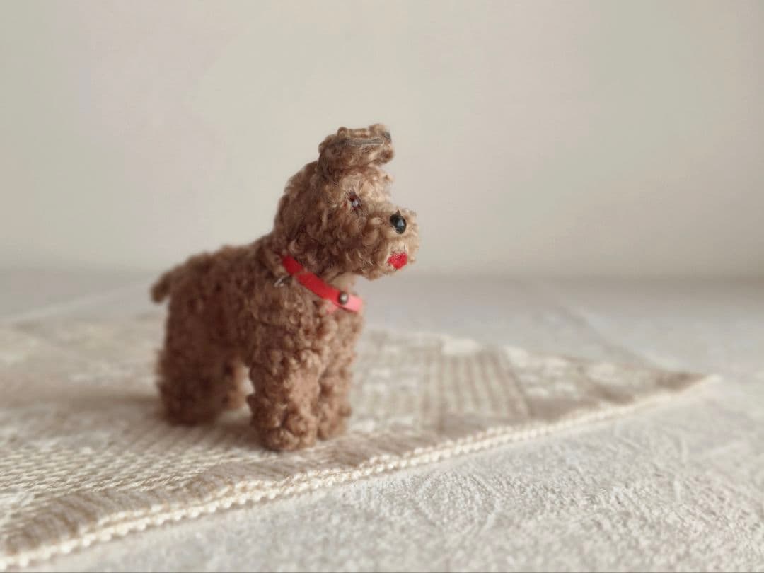 * vintage dog ❀ クルクル巻き毛がキュートな ワンちゃん