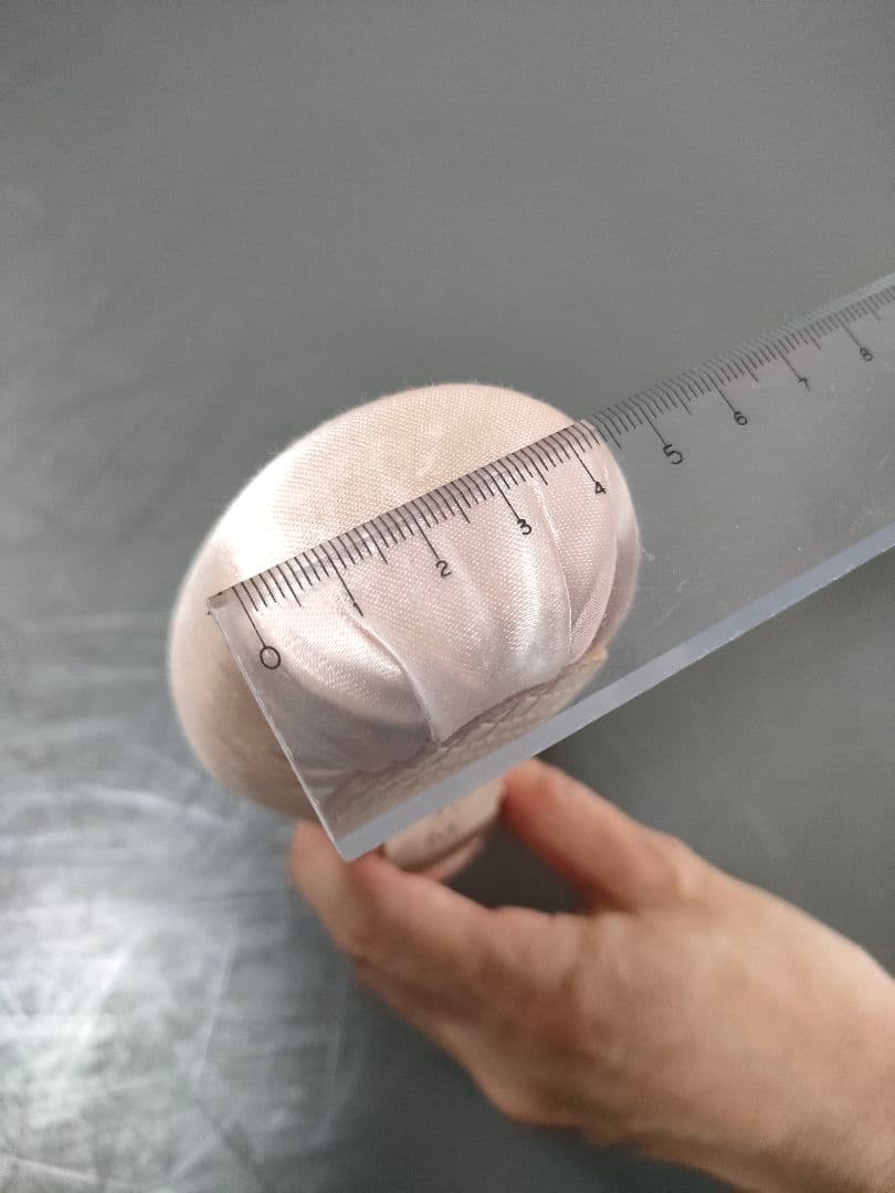 グリシコ　トライアンフ 3.5 xx M（TRIUMPH）トゥシューズ