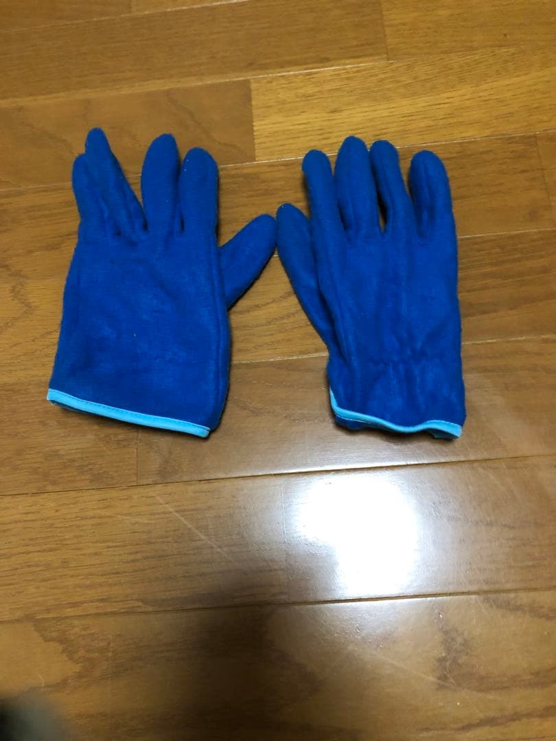 限定値下げ美品　エレッセ　ゴールドウィン　スキーウエア上下　L