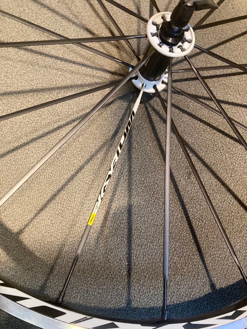 キシリウム　SR 前後セット