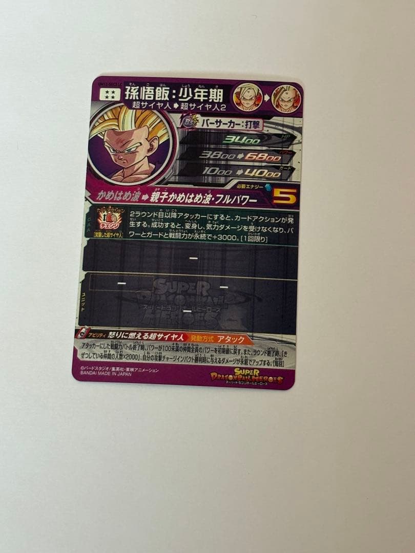 A*N様 UM12-SEC3 LC 孫悟飯:少年期