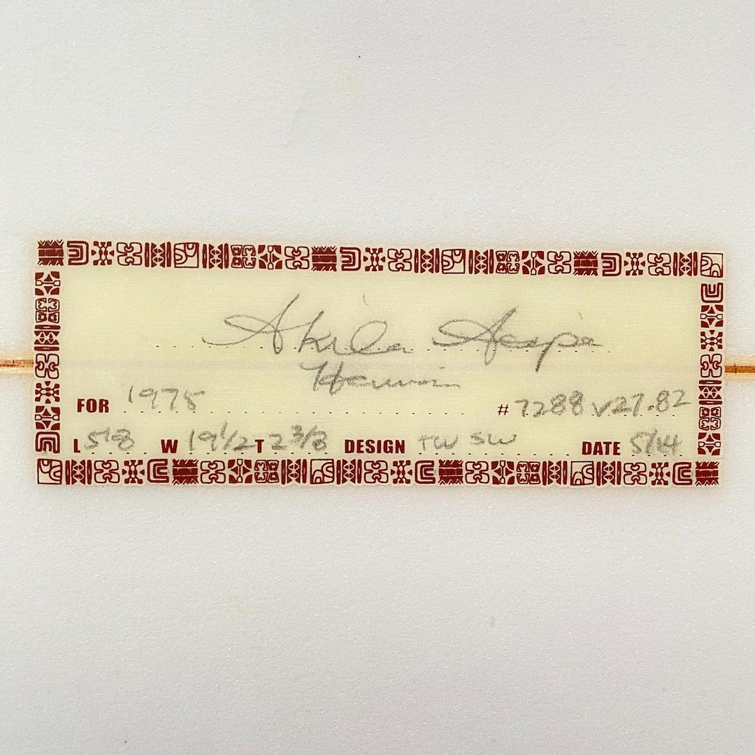 AKILA AIPA / SWALLOW WING 5'8\"フィン付き