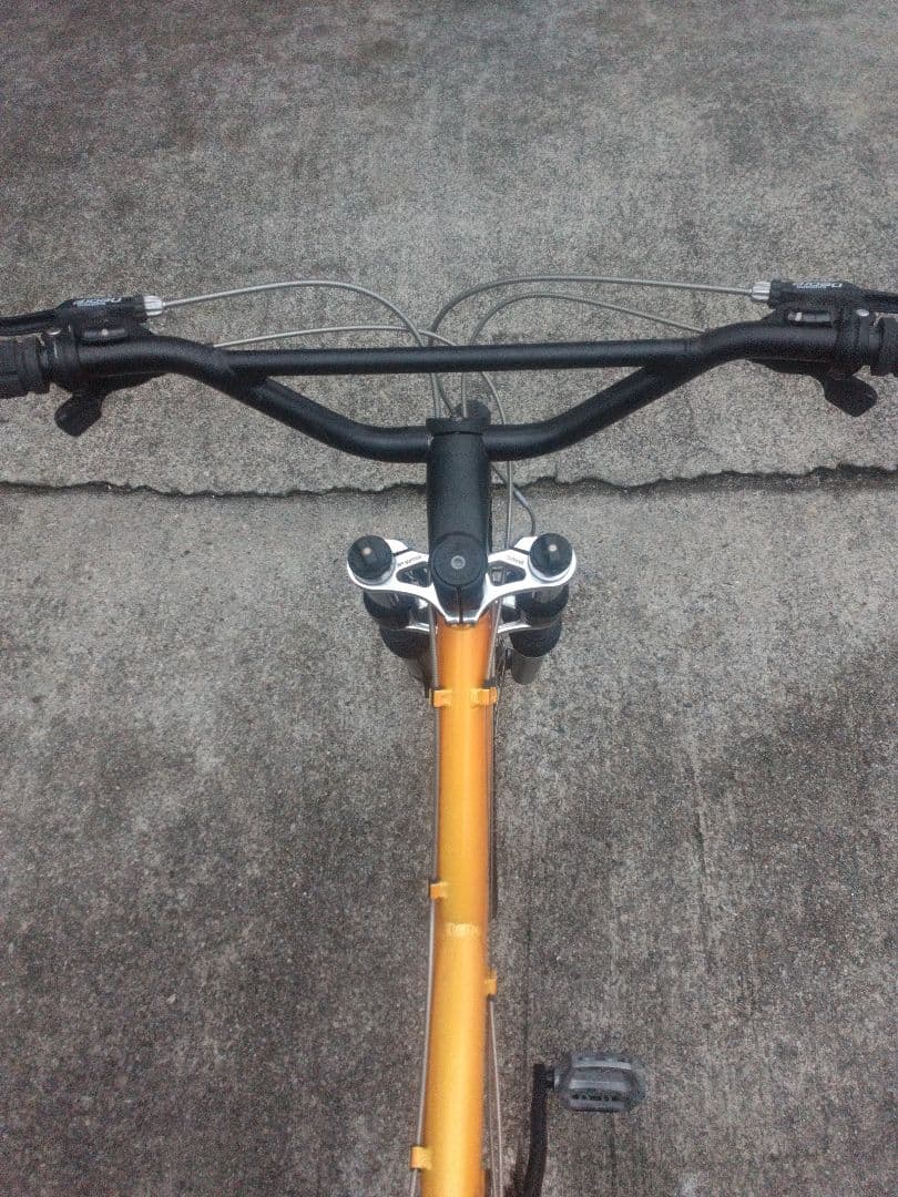 アラヤ マディフォックス MTB マウンテンバイク(ビンテージ)