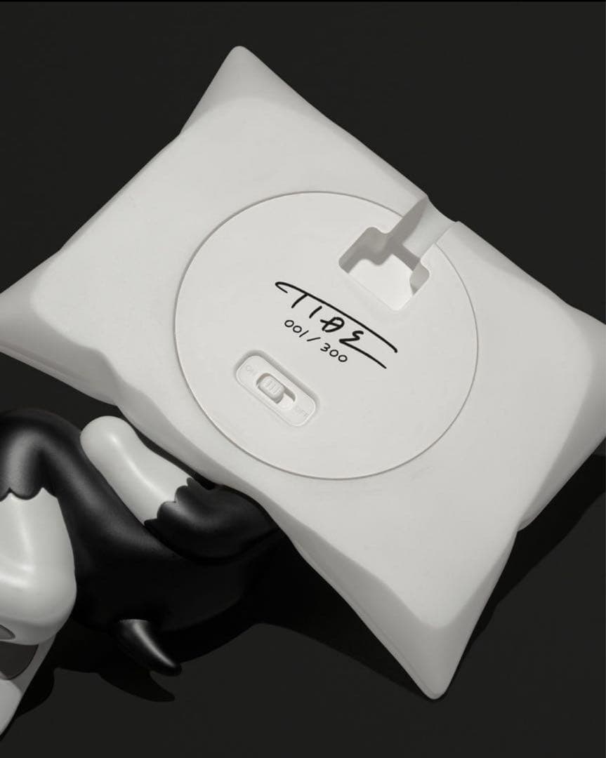 TIDE / Pillow IDE TATSUHIRO イデタツヒロ