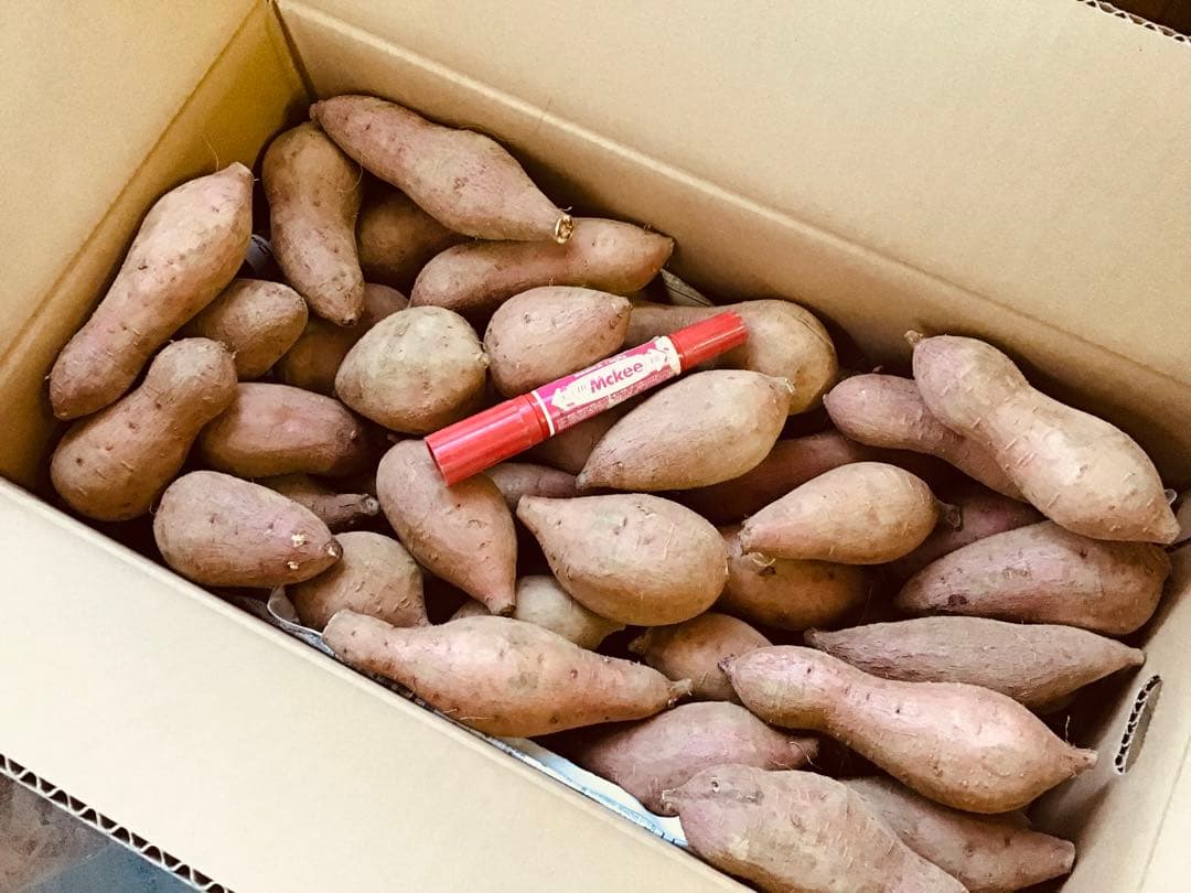 MSサイズ20kgさつまいも種子島産安納芋 焼き芋におやつに　#052