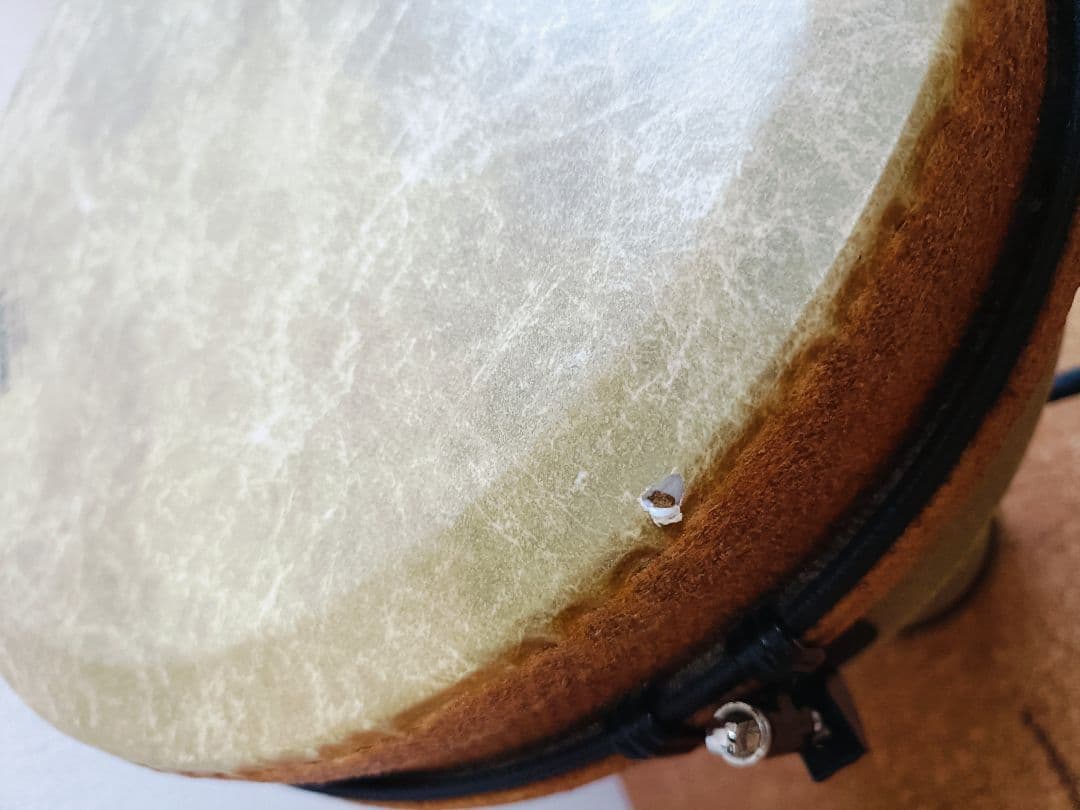 ジャンベ【REMO】12インチ　サイズ約31センチ×約61センチ