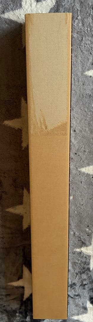 超レア非売品！初期！北海道日本ハムファイターズ現監督新庄剛志監督等身大ポスター