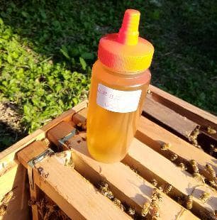 ☀️レンゲ蜂蜜１０本　生はちみつ　非加熱ハチミツ