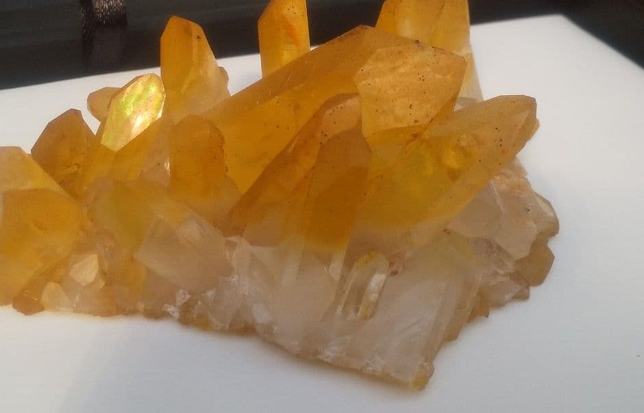 希少 クラスター ゴールデンヒーラー　上質！