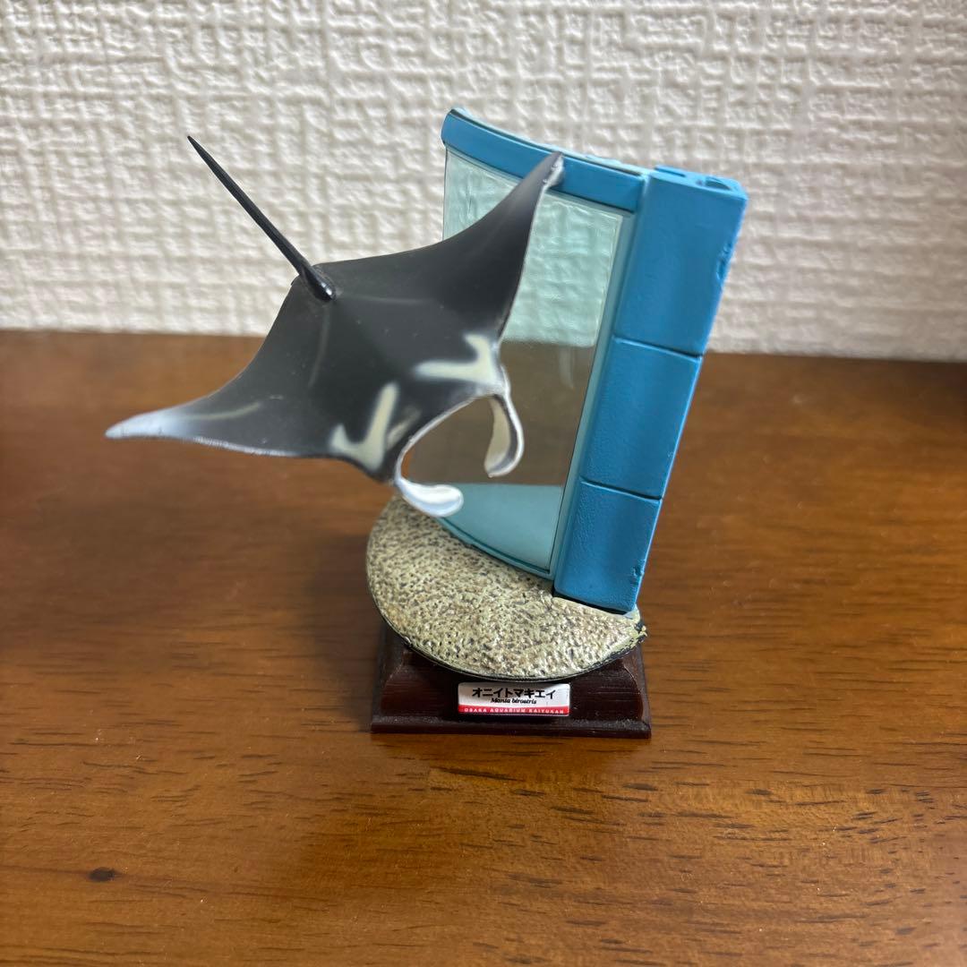 ネイチャーテクニカラー　海遊館　オニエイトマキエイ