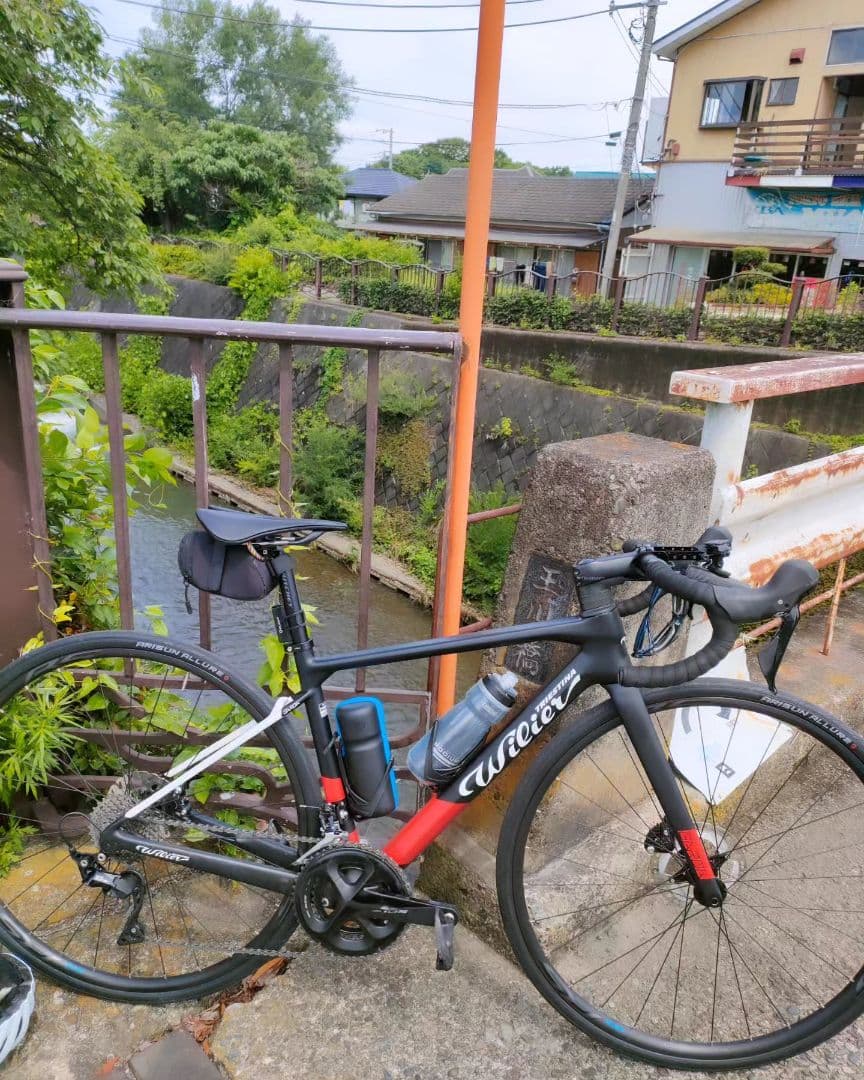 ウィリエール　ガルダdisc　完成車　ロードバイク　カーボンロード