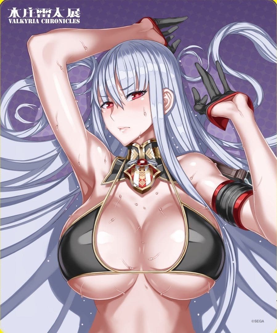 【本庄雷太展】戦場のヴァルキュリア　Wライクトロンバスタオル未開封　正規品