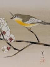 【真作】絵画　高田美一　日本画（色紙）　白梅に小禽図　春を告げる花鳥画　X39