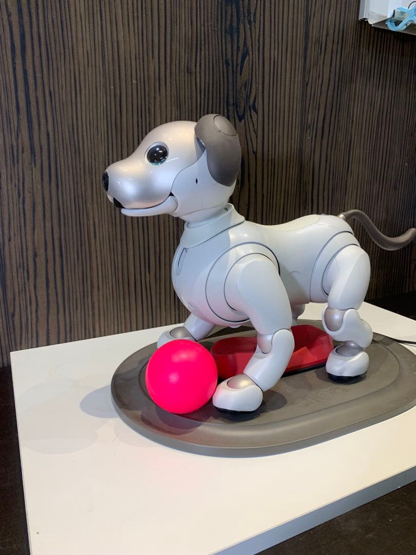 aibo アイボ
