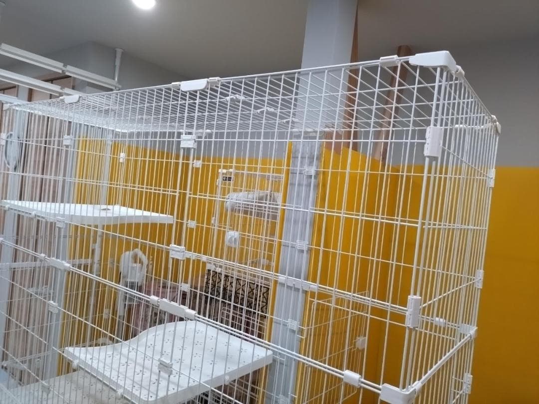 猫ケージ大型3段 解体済　組み立てが出来て福井市まで引き取りに来て頂ける方限定