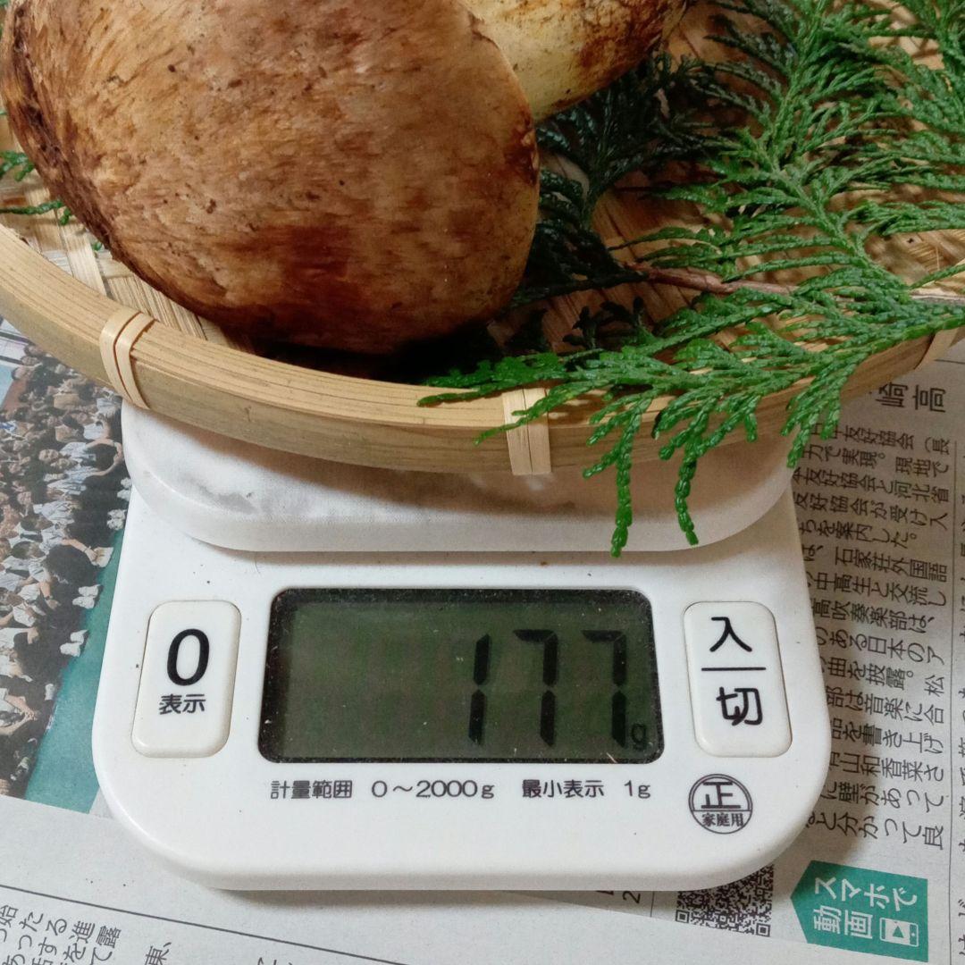 長野県産　松茸　177g