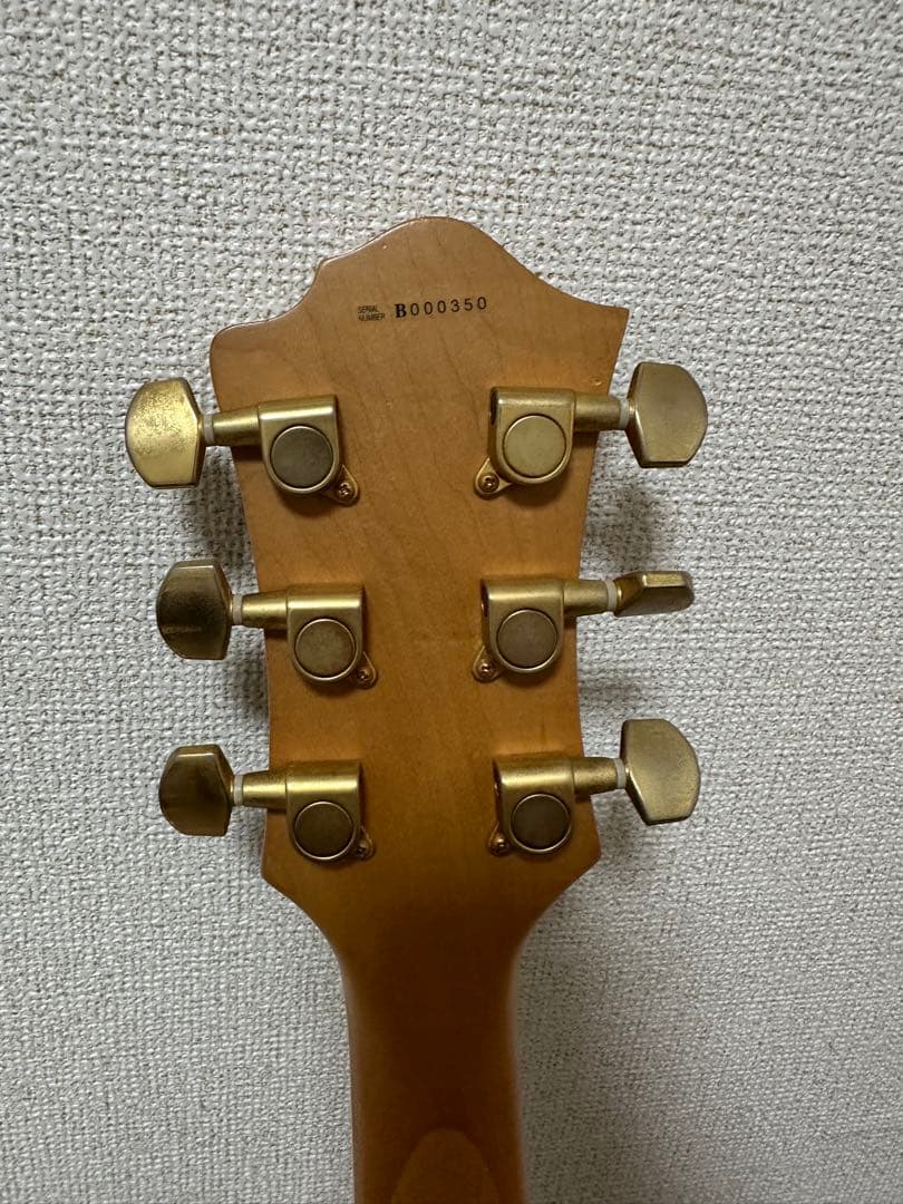 【ケース付】B.C.Rich Mocking Bird モッキンバード