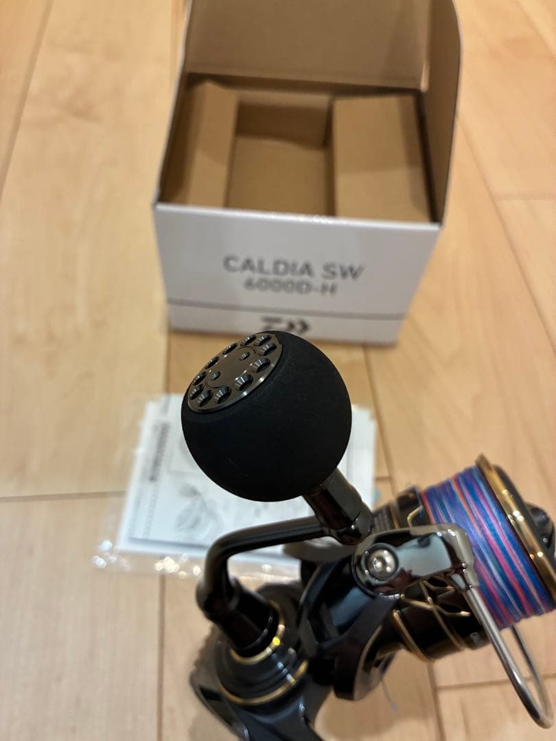 22カルディアsw 6000D-H