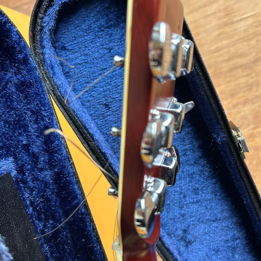 Morris アコースティックギター スプルース