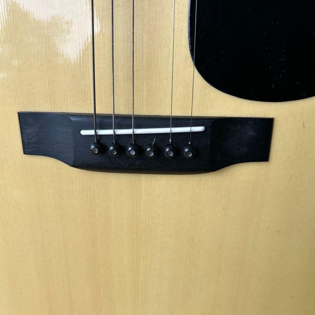 Morris アコースティックギター スプルース