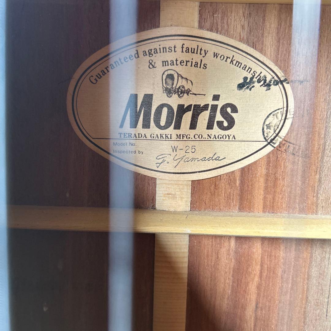 Morris アコースティックギター スプルース