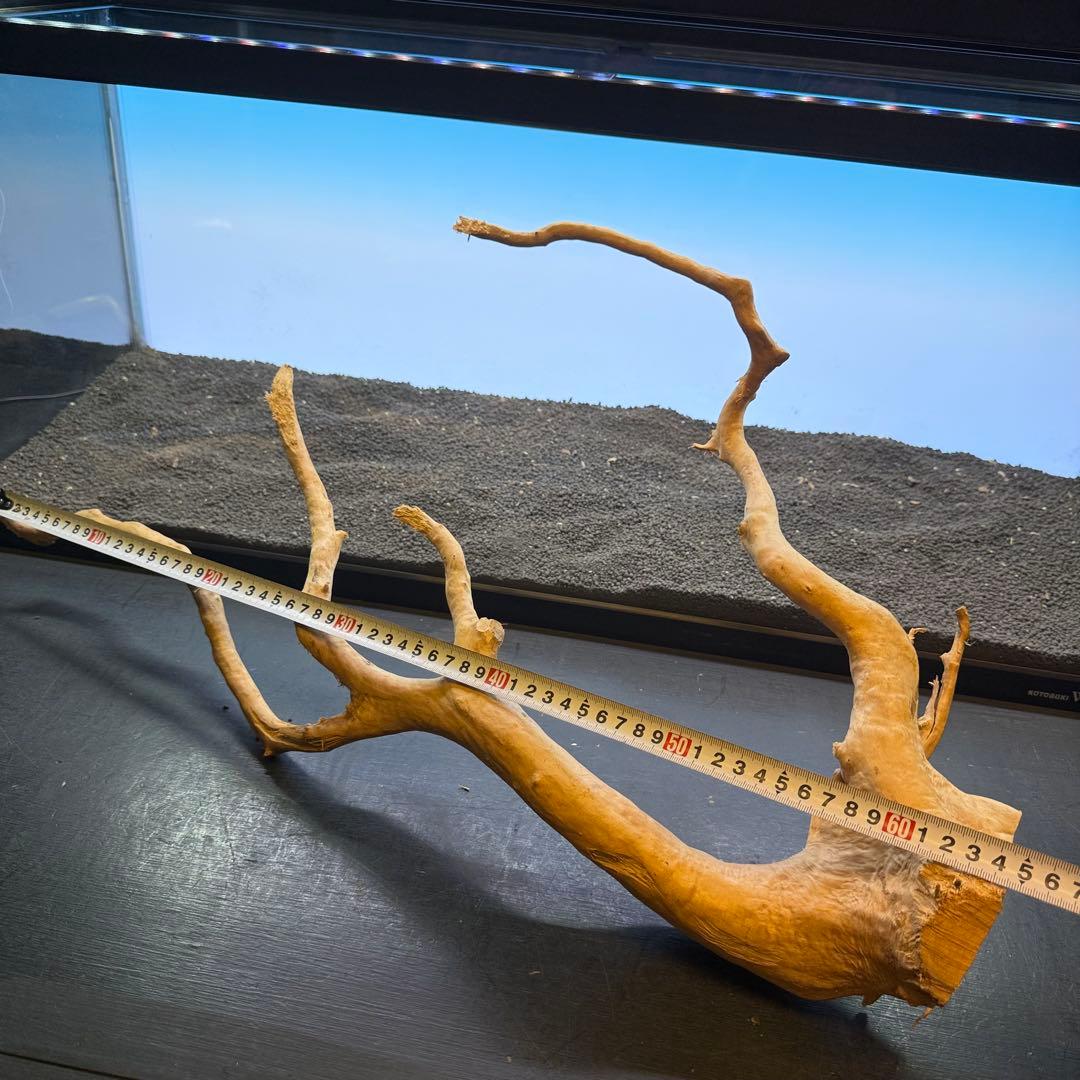 MDW-7102 ブランチウッド2本セット　流木セット　枝流木　アクアリウム