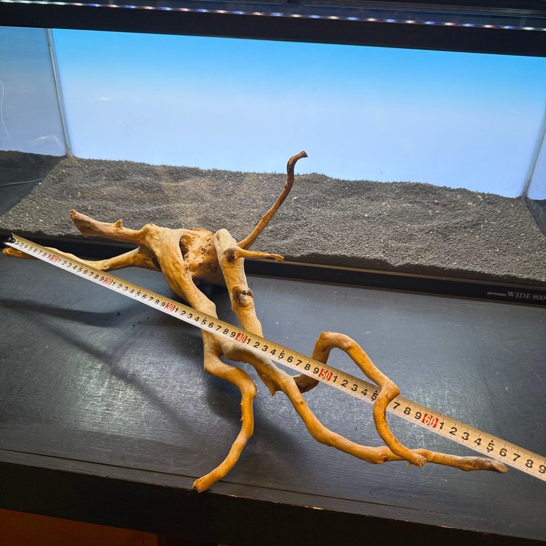 MDW-7102 ブランチウッド2本セット　流木セット　枝流木　アクアリウム