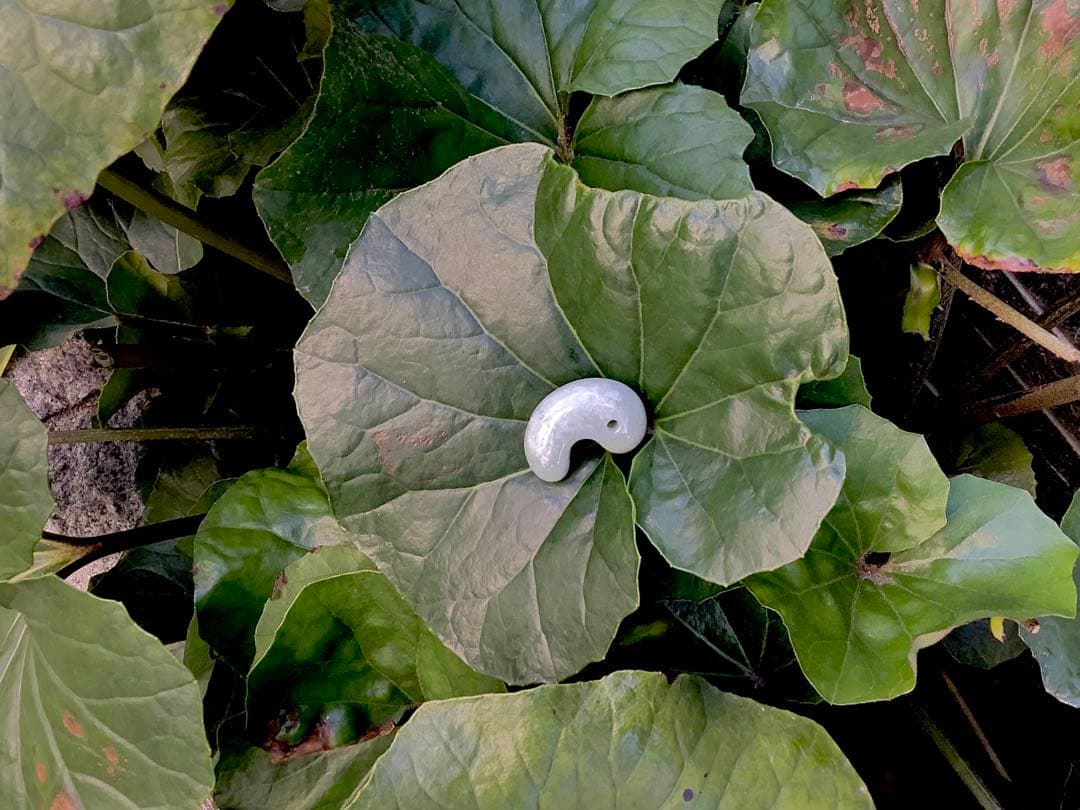 ✳摩訶不思議な幸運の勾玉　特大サイズ‼️ 御守りの糸魚川翡翠　最後の1個　鑑別書付